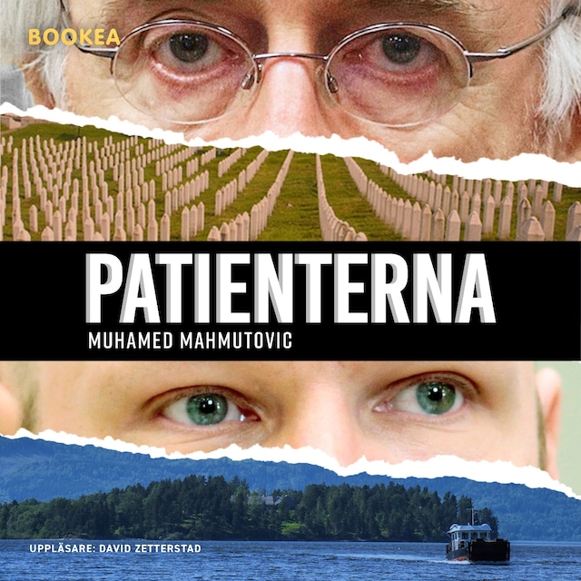 Book cover for Patienterna