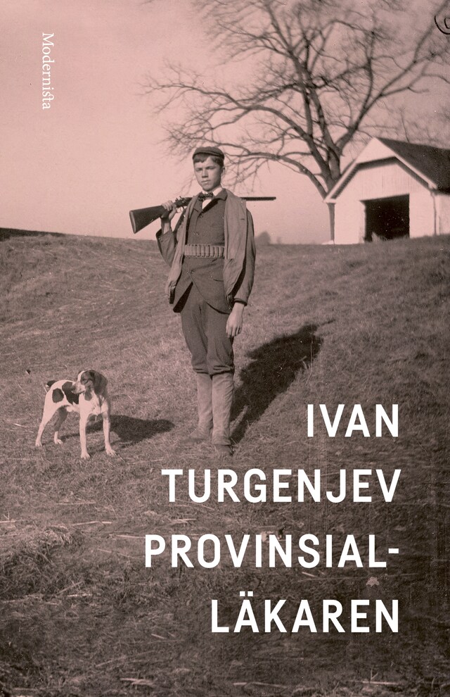 Bokomslag for Provinsialläkaren