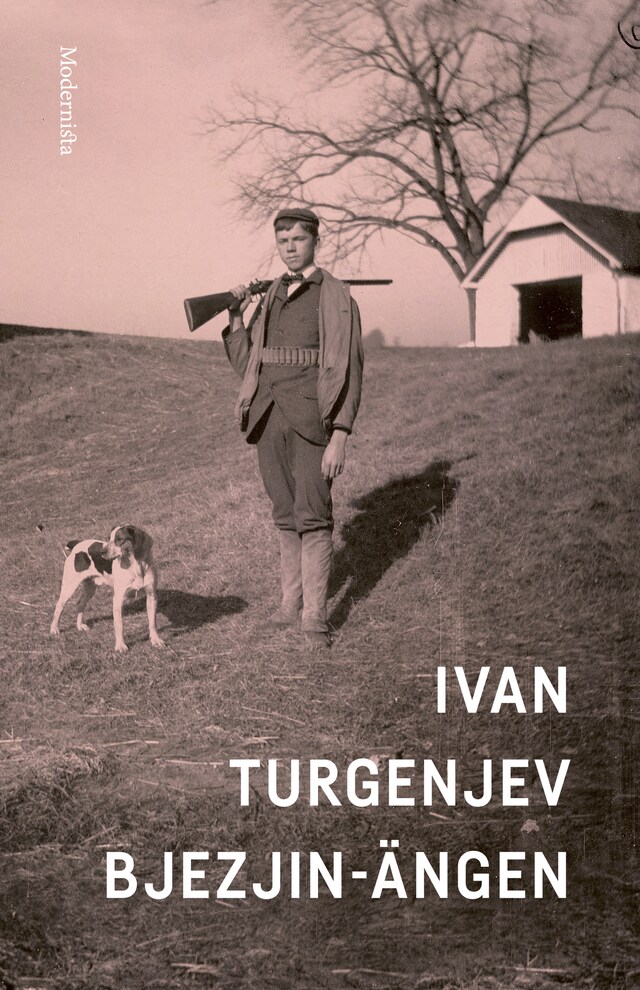 Copertina del libro per Bjezjin-ängen