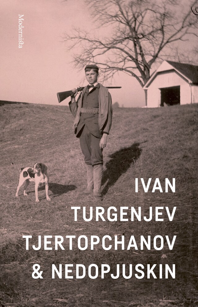 Couverture de livre pour Tjertopchanov och Nedopjuskin