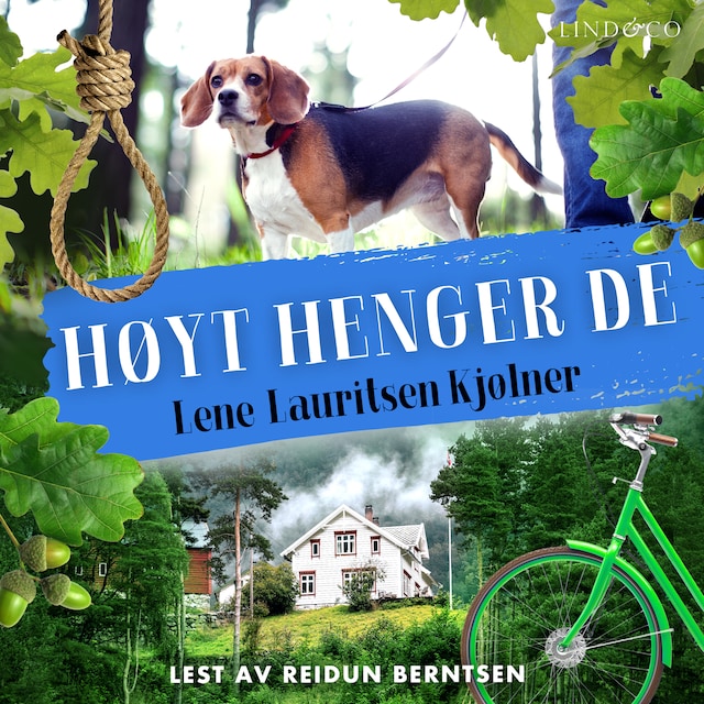 Buchcover für Høyt henger de