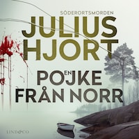 En pojke från norr