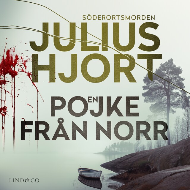 Book cover for En pojke från norr