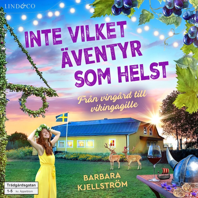 Bokomslag för Inte vilket äventyr som helst: Från vingård till vikingagille