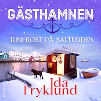 Rimfrost på Saltudden