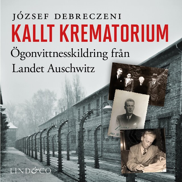 Book cover for Kallt krematorium