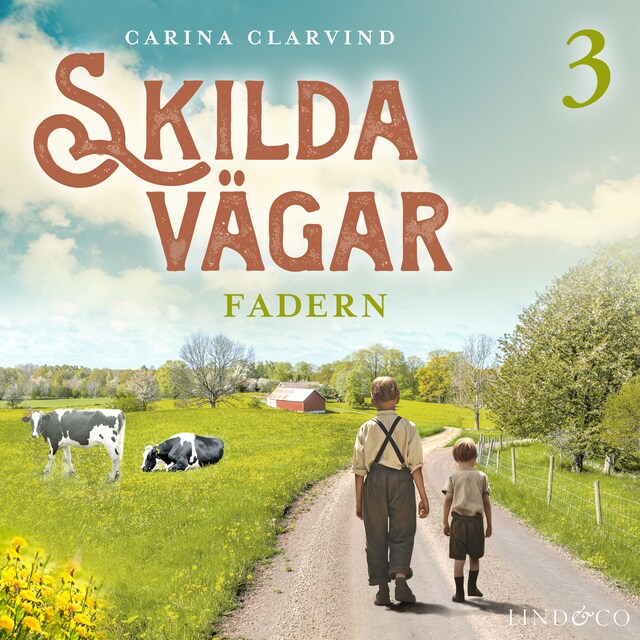 Book cover for Fadern