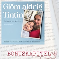 Glöm aldrig Tintin: Bonuskapitel