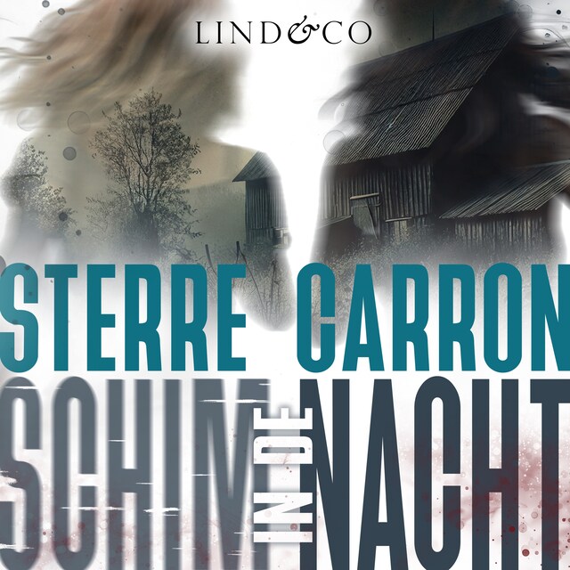 Book cover for Schim in de nacht