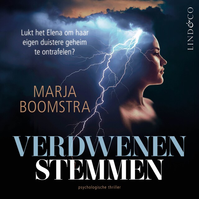 Book cover for Verdwenen stemmen