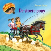 De stoere pony