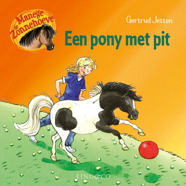 Book cover for Een pony met pit