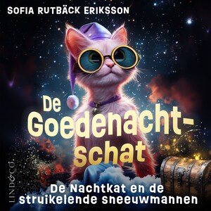 De Nachtkat en de struikelende sneeuwmannen - luisterboek