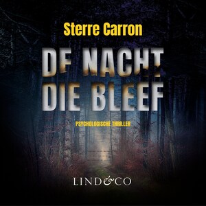 De nacht die bleef - luisterboek