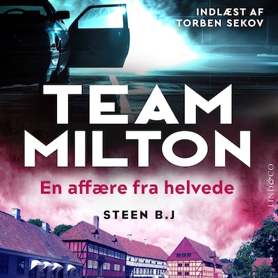 En affære fra helvede