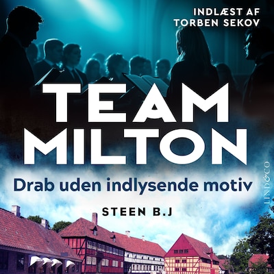 Drab uden indlysende motiv