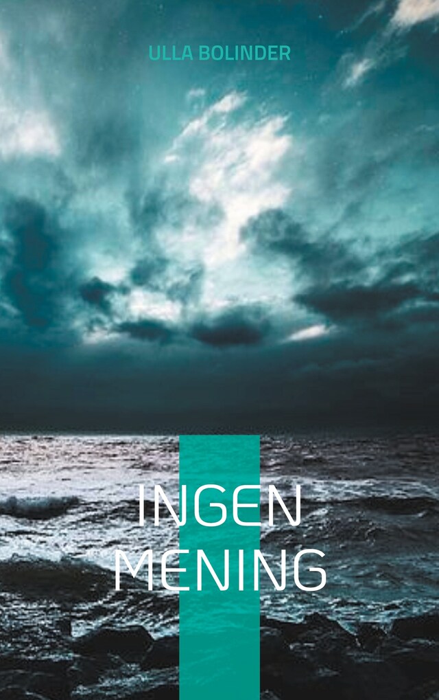 Book cover for Ingen mening