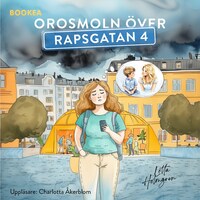 Orosmoln över Rapsgatan 4