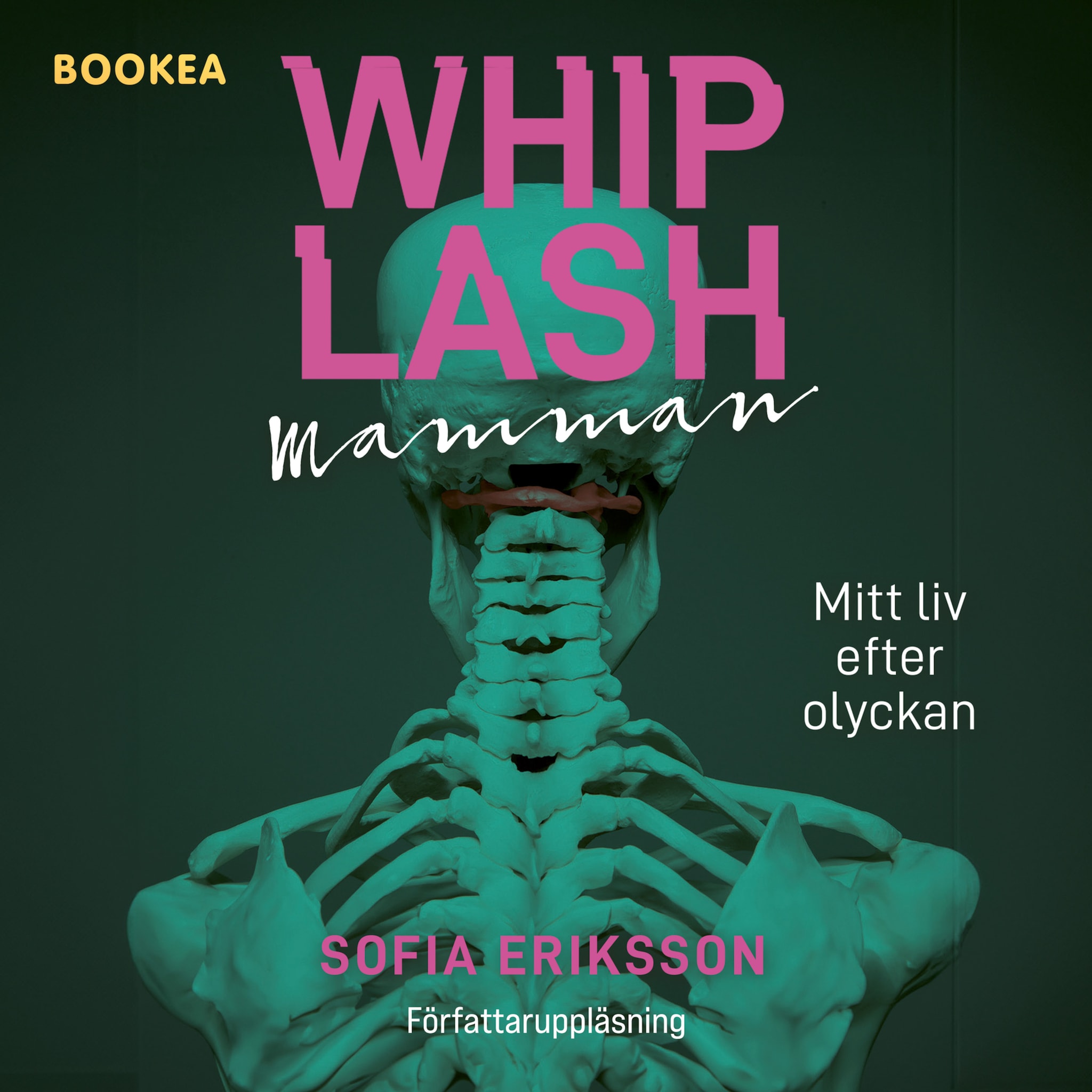 Whiplashmamman : mitt liv efter olyckan