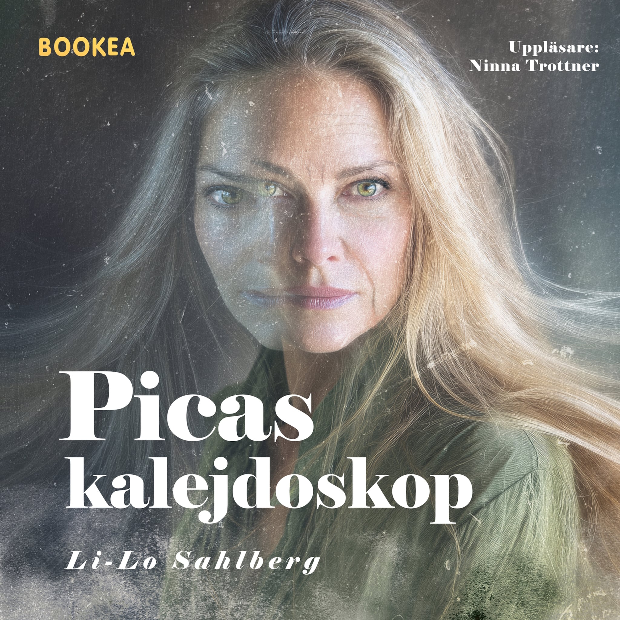 Picas Kalejdoskop