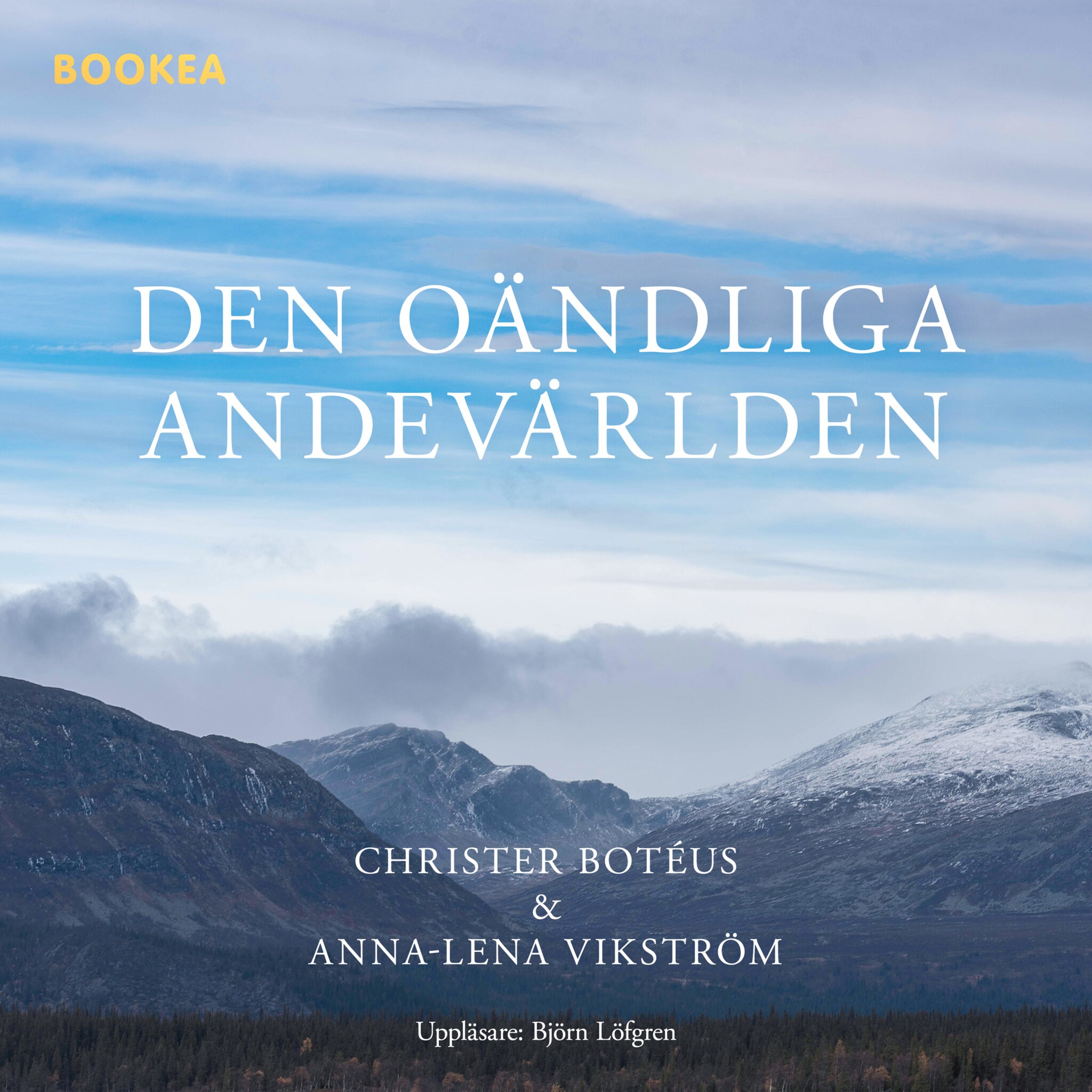 Den oändliga andevärlden