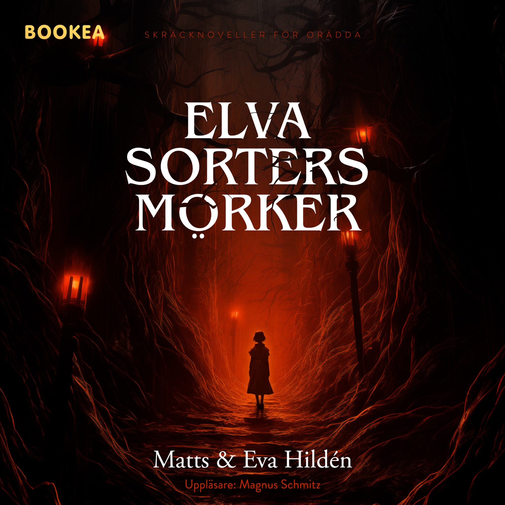 Elva sorters mörker : skräcknoveller för orädda