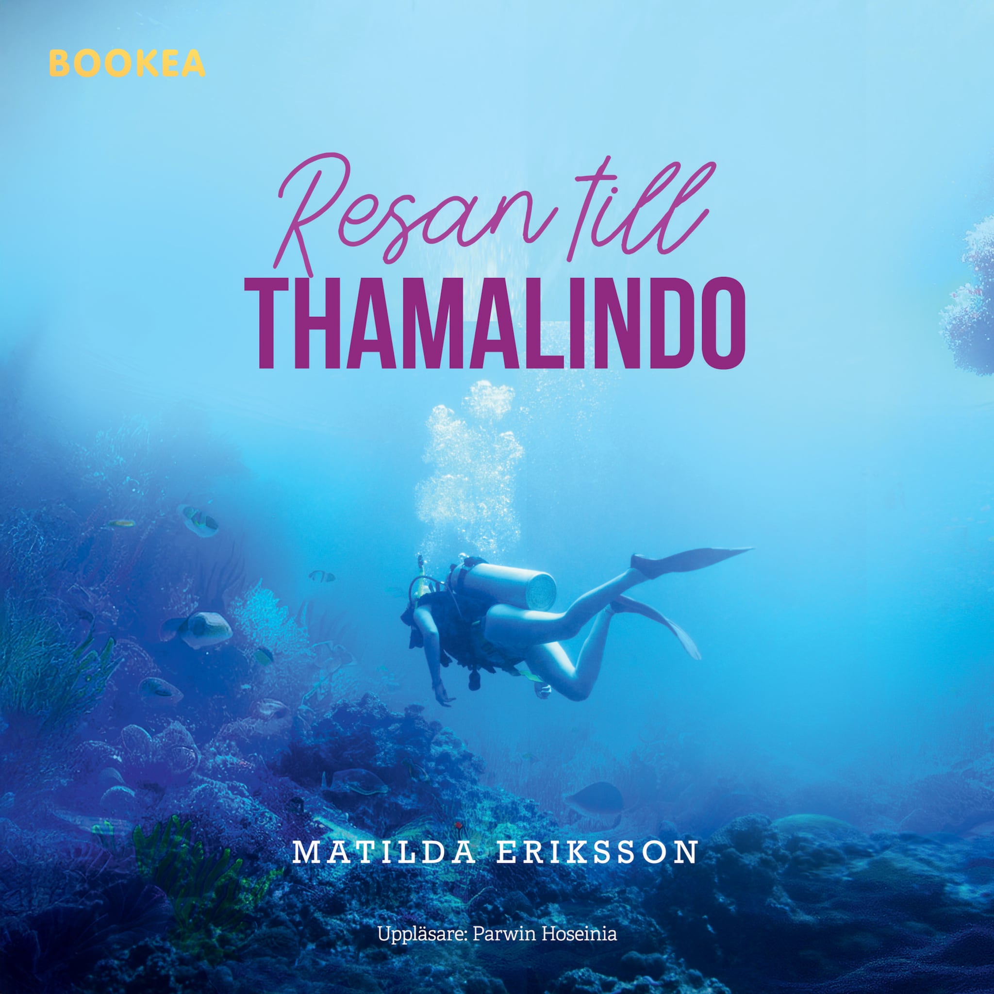 Resan till Thamalindo