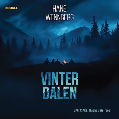 Vinterdalen