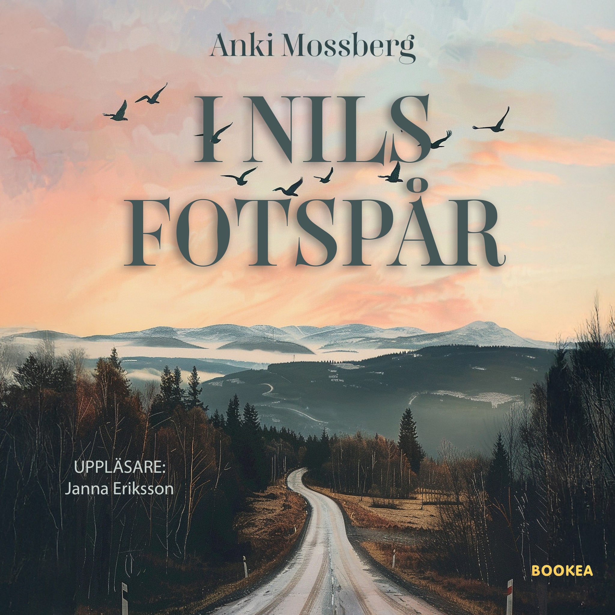 I Nils fotspår