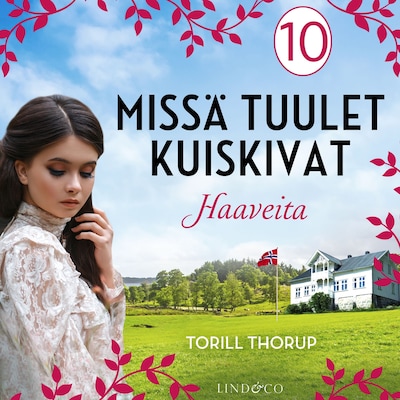 Haaveita
