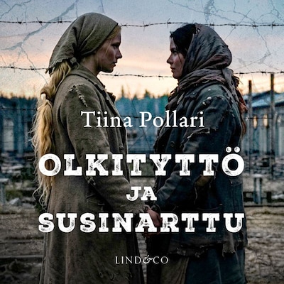Olkityttö ja susinarttu
