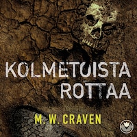 Kolmetoista rottaa
