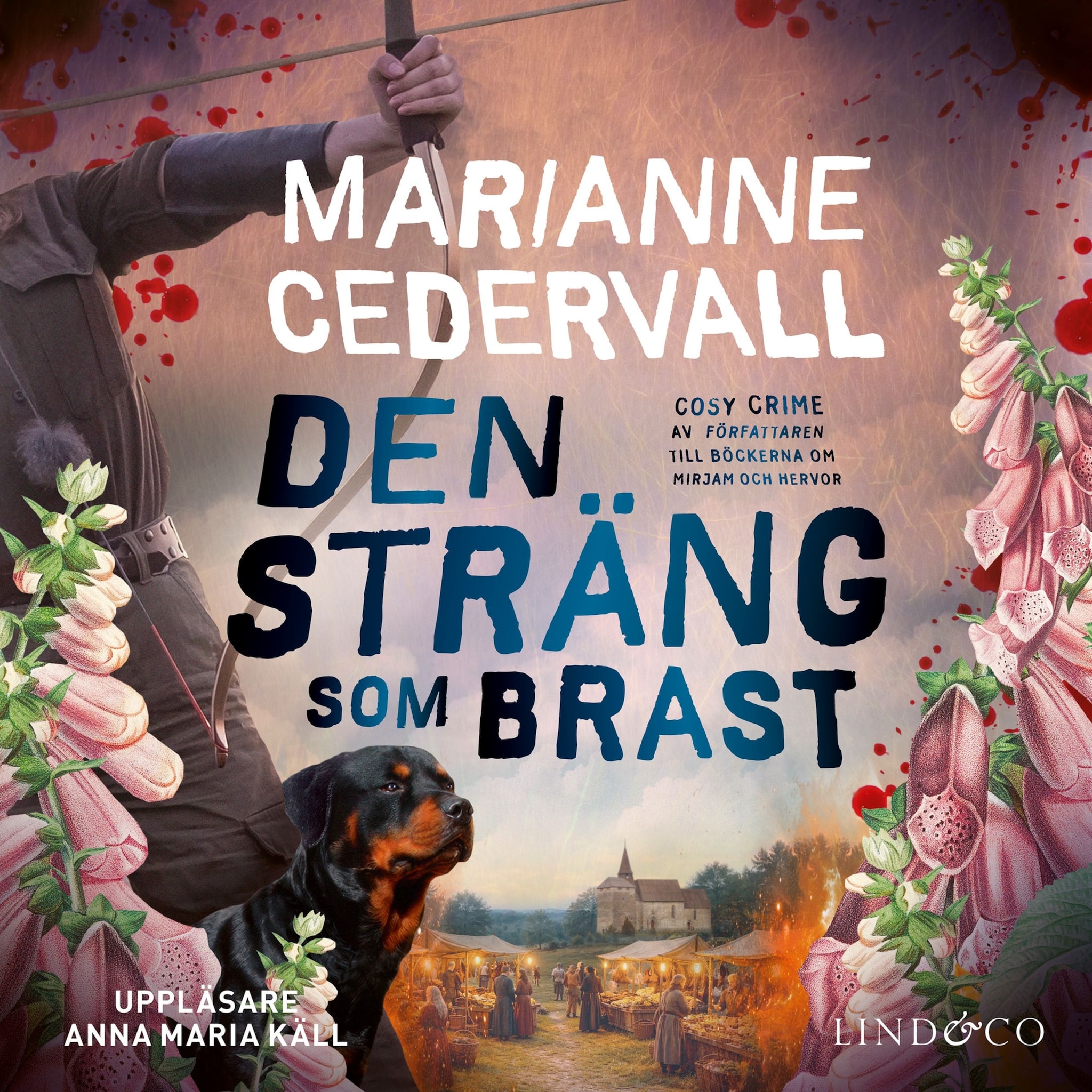 Den sträng som brast