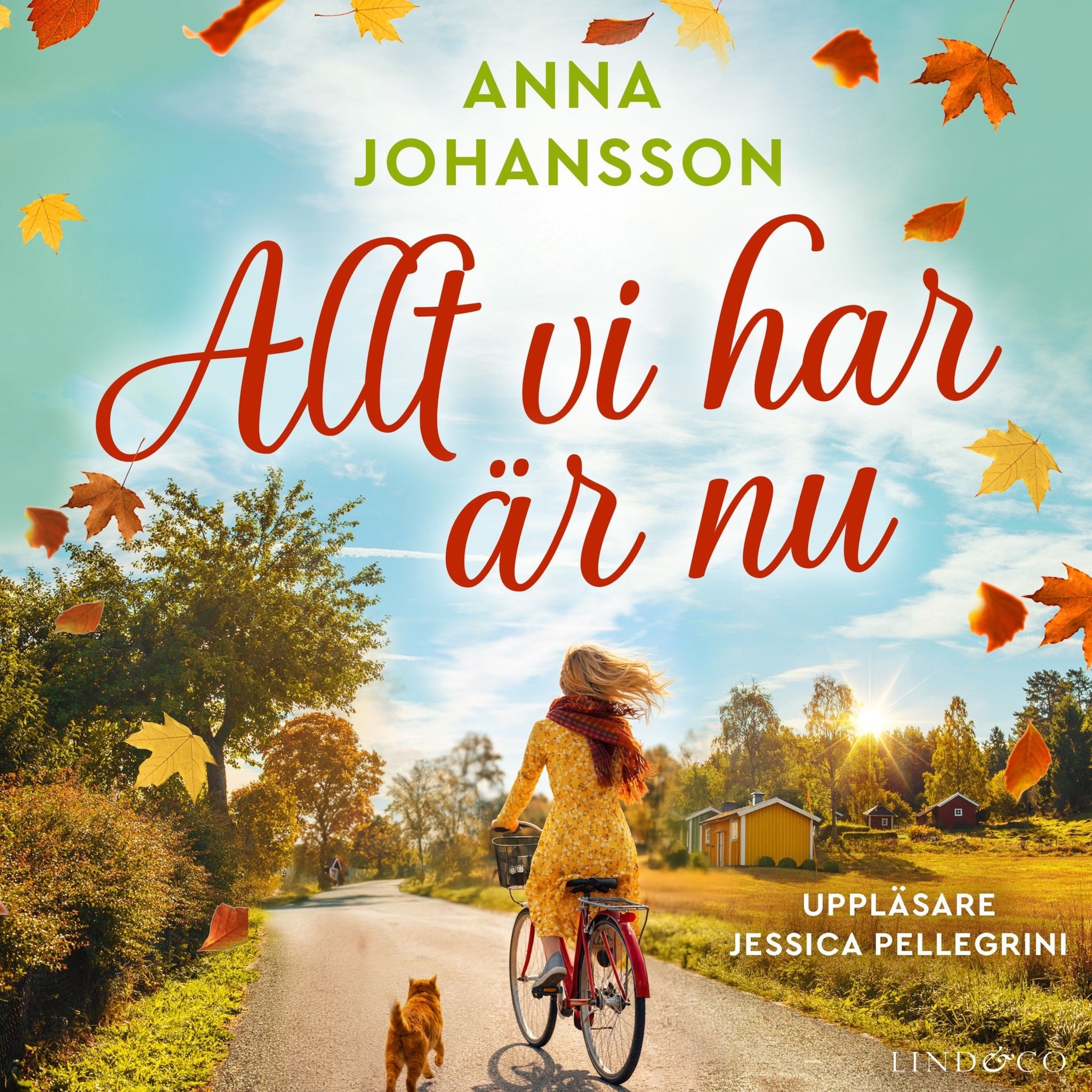 Allt vi har är nu