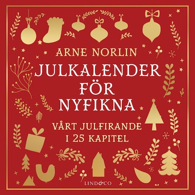 Julkalender för nyfikna: vårt julfirande i 25 kapitel