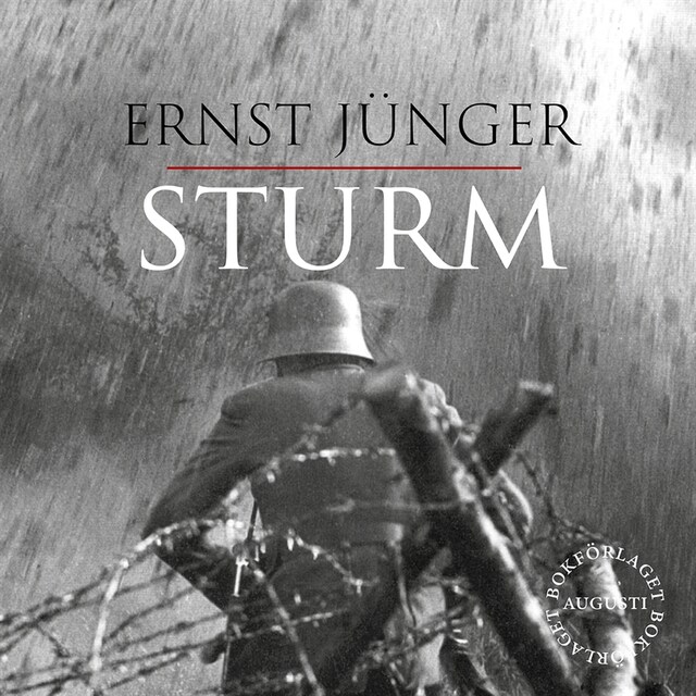 Boekomslag van Sturm