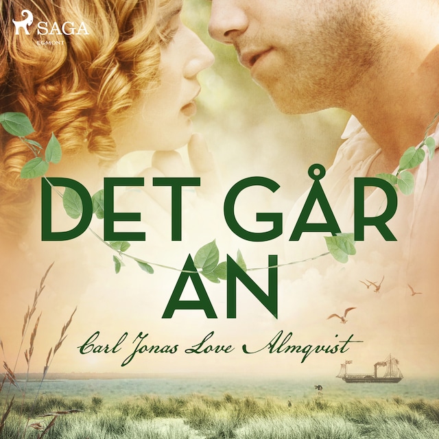 Book cover for Det går an