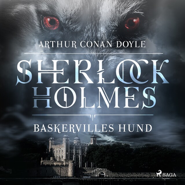 Book cover for Baskervilles hund