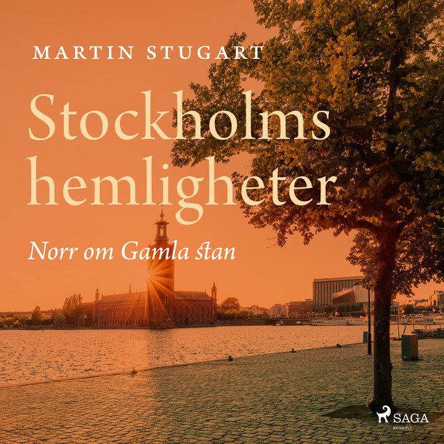 Buchcover für Stockholms hemligheter - Norr om Gamla stan