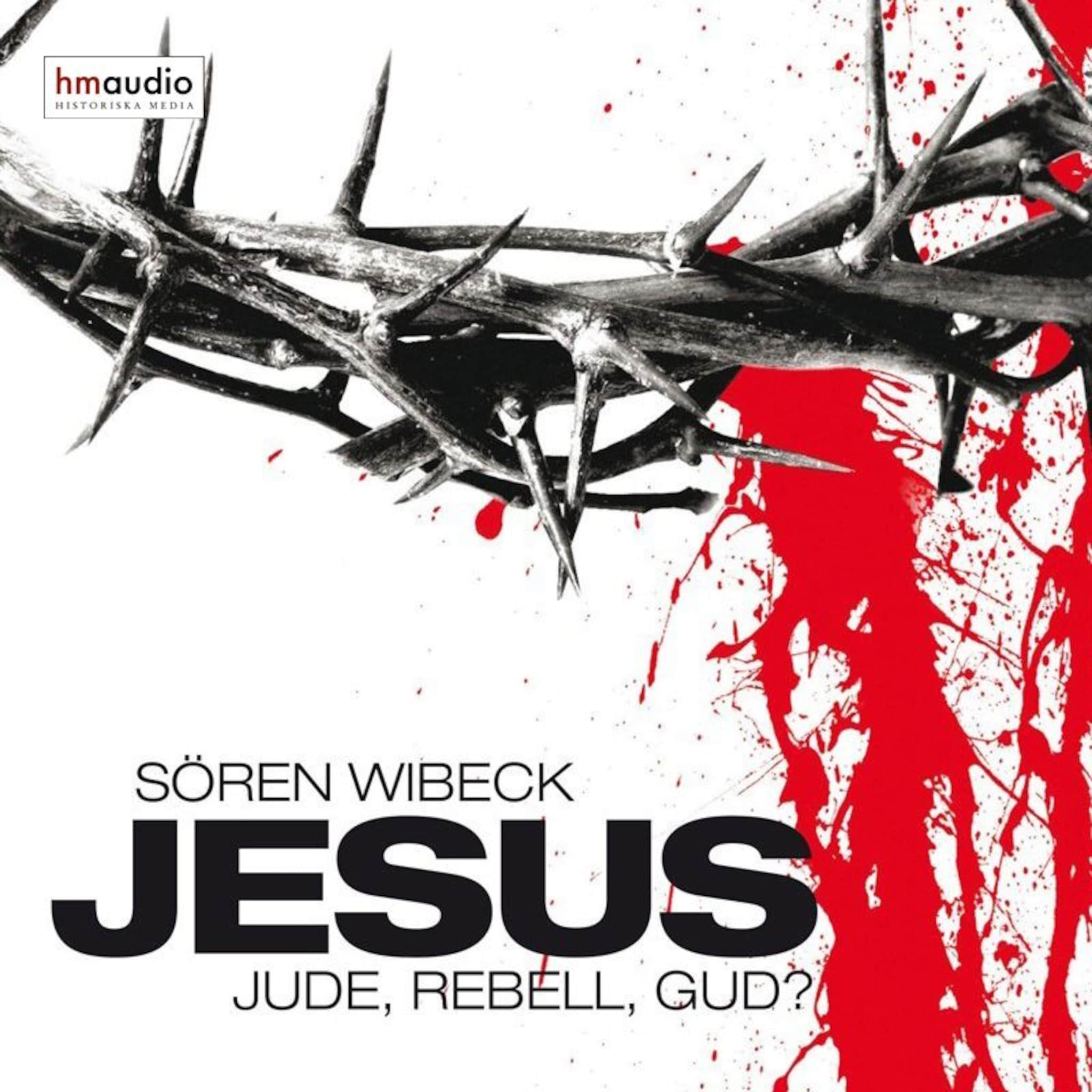 Jesus : Jude, rebell, Gud?