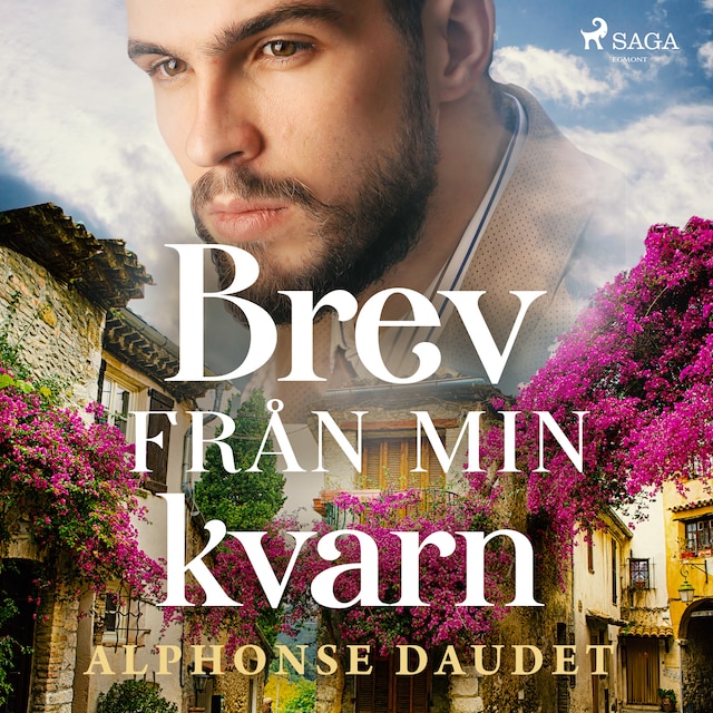 Book cover for Brev från min kvarn