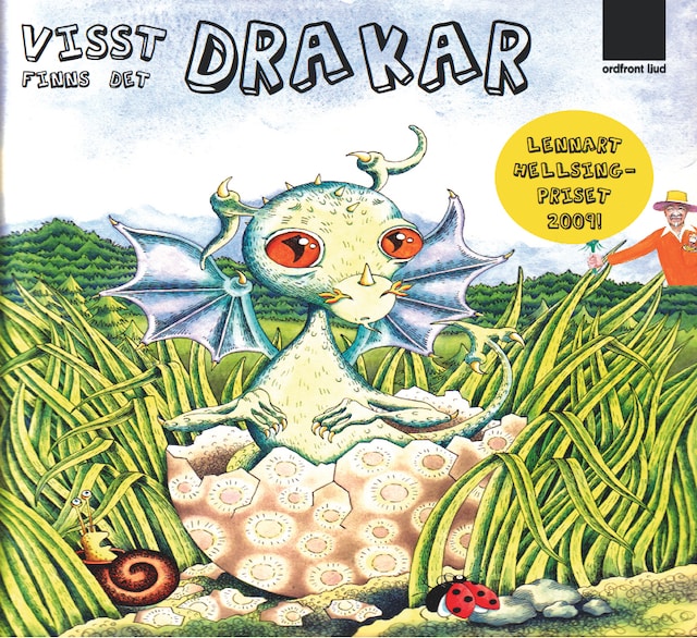 Book cover for Visst finns det drakar!