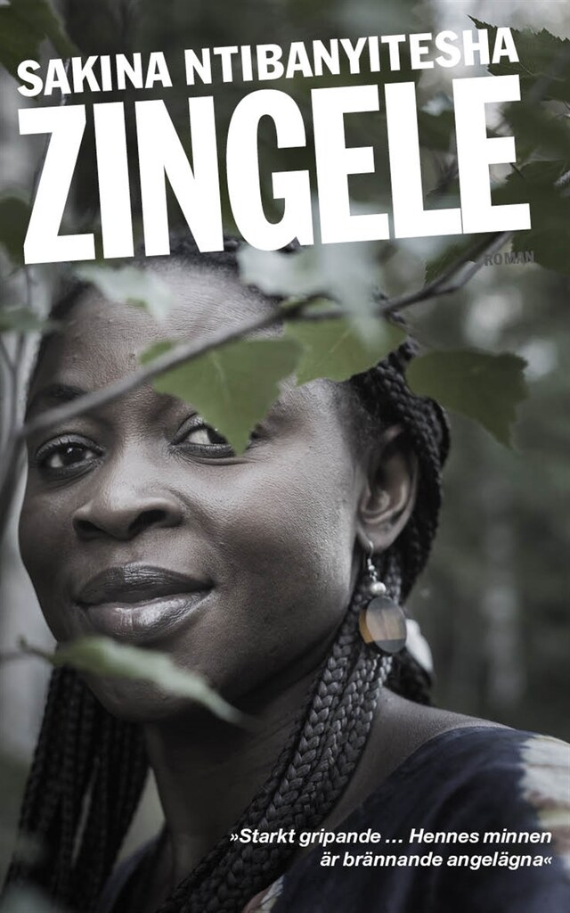 Book cover for Zingele