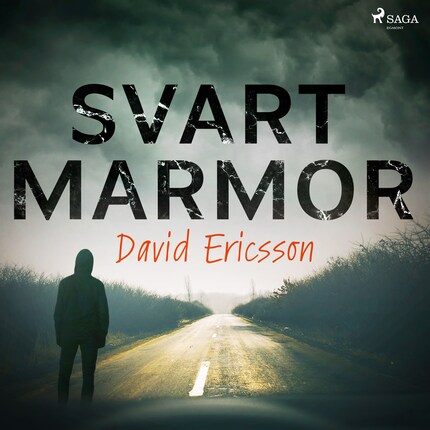 Svart Marmor bookCoverFor