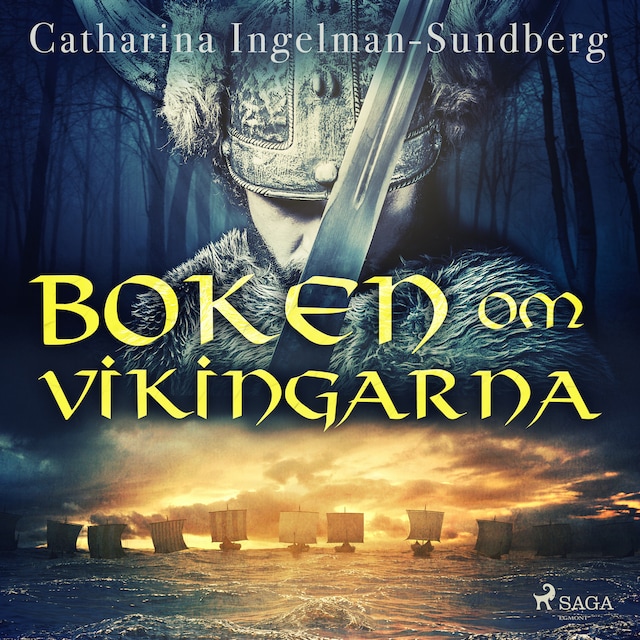 Buchcover für Boken om vikingarna