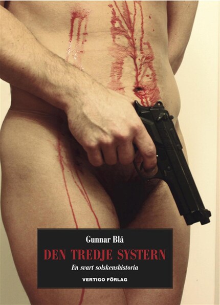 Den tredje systern: en svart solskenshistoria bookCoverFor