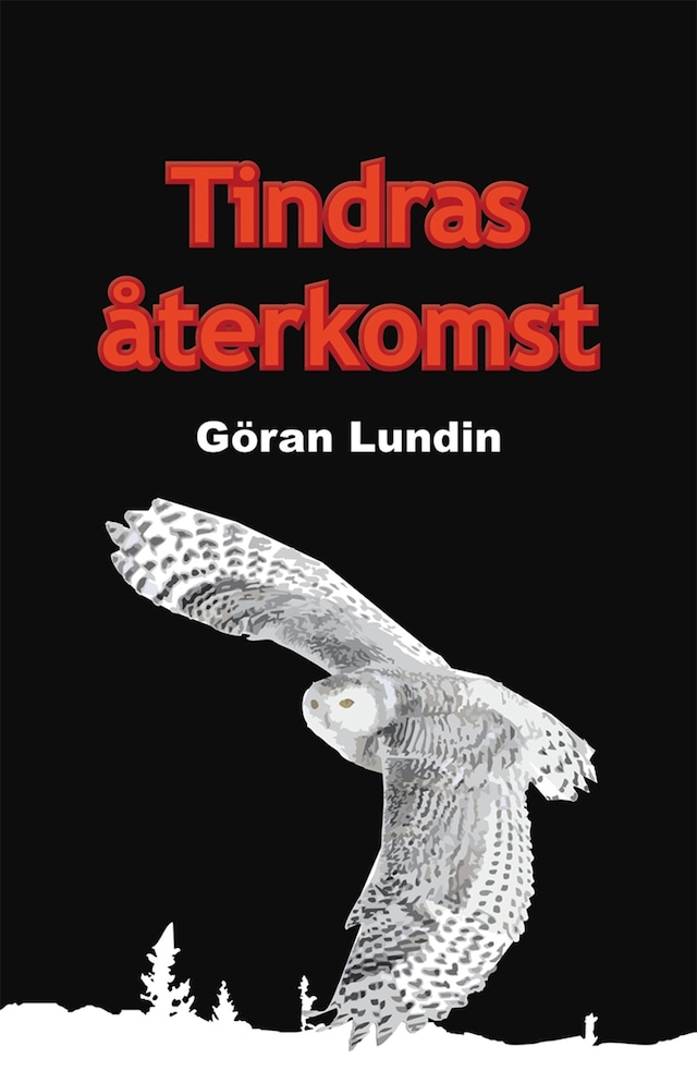 Buchcover für Tindras återkomst