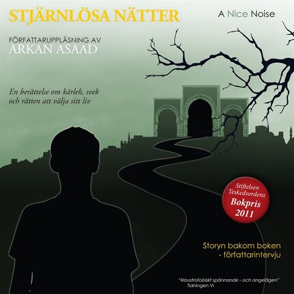 Stjärnlösa nätter bookCoverFor