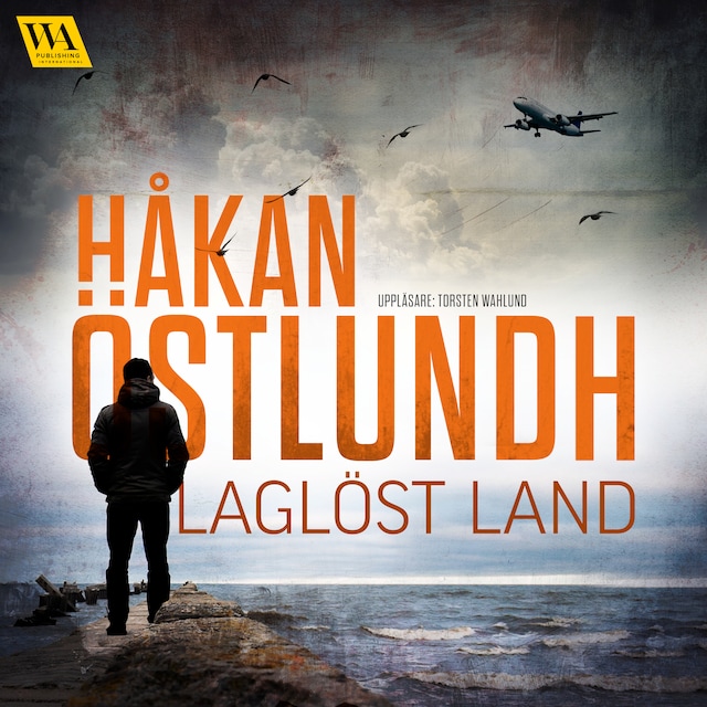 Book cover for Laglöst land