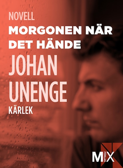 Morgonen när det hände bookCoverFor